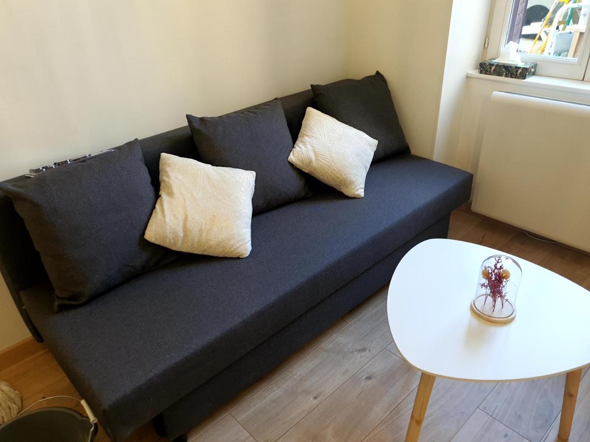 Appartement Cosy Entier, Parking Gratuit Dans La Rue ديجون المظهر الخارجي الصورة